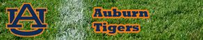 Auburn banner